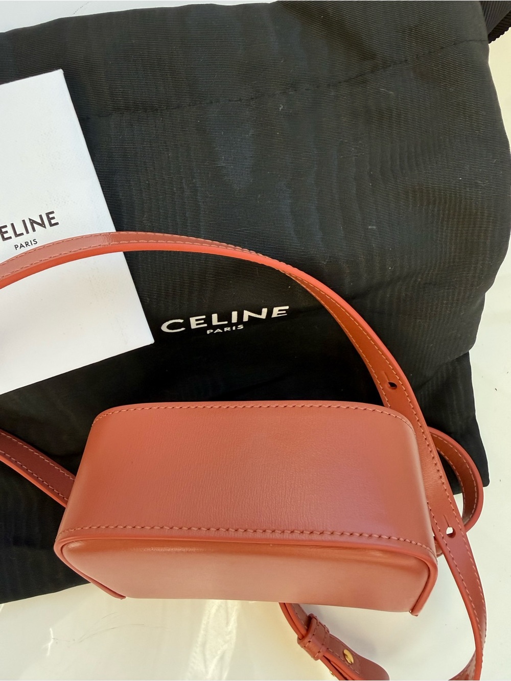 Celine Coral Triomphe Mini Crossbody Bag with Gold Hardware - Picture 4 of 6